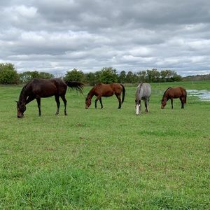 Meet your Posher, Shania